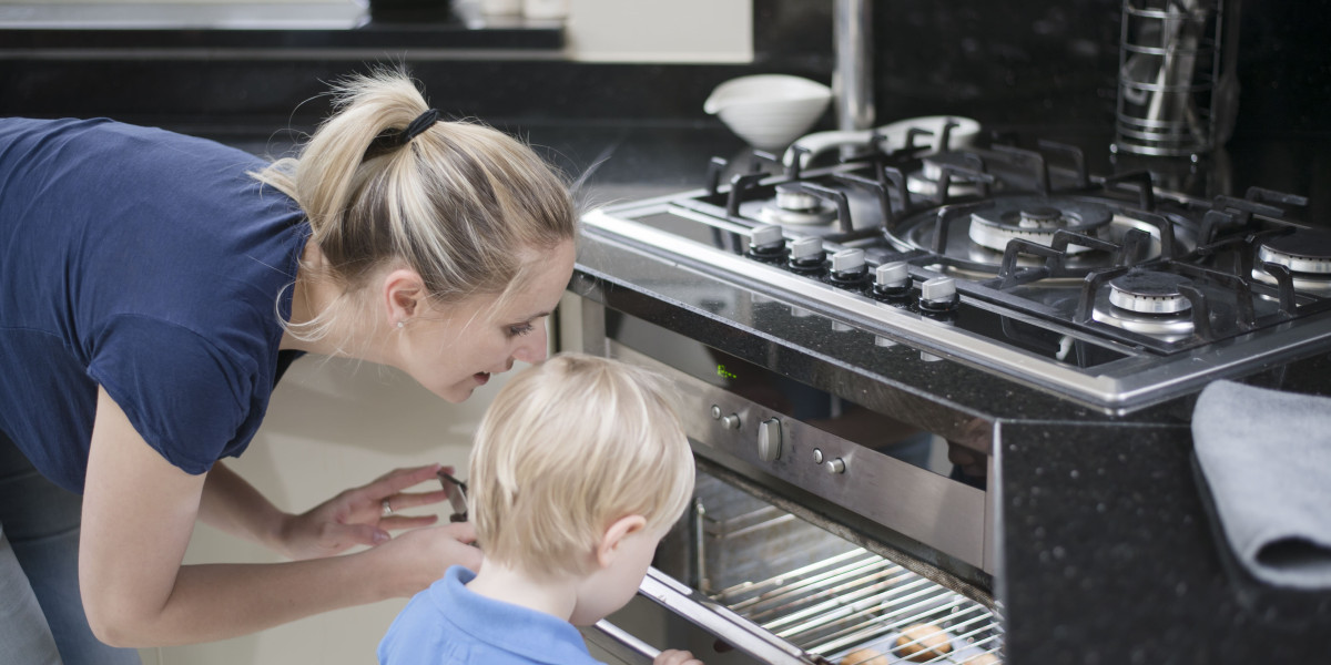 This Is The Integrated Ovens Case Study You'll Never Forget